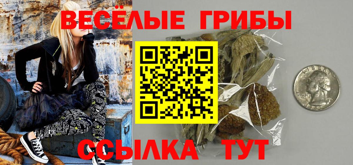 Галлюциногенные грибы ЛСД  Вход с VPN  купить наркотик  Мценск 