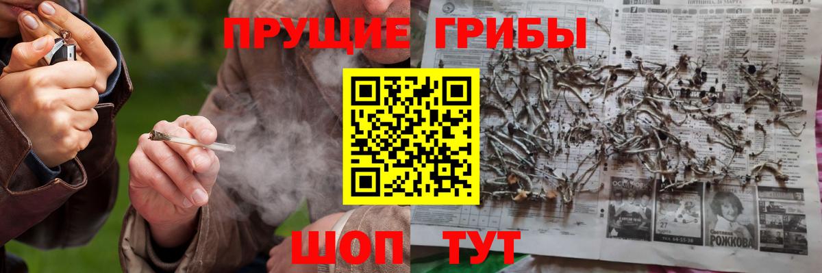 Псилоцибиновые грибы мухоморы Мценск